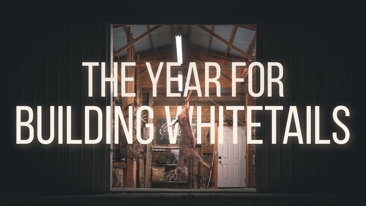 The Year for Building Whitetails