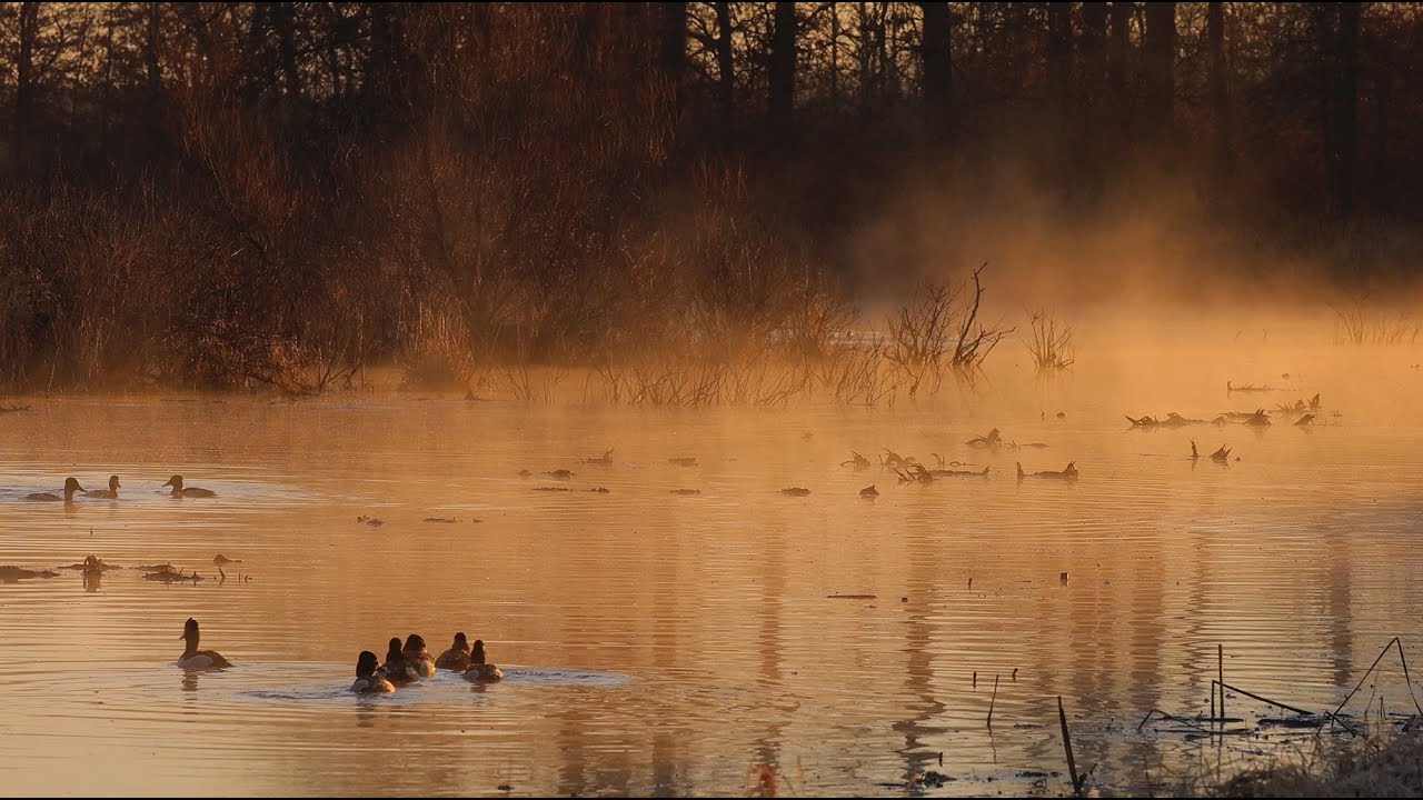 Visitors to the Fabled Grand Kankakee Marsh