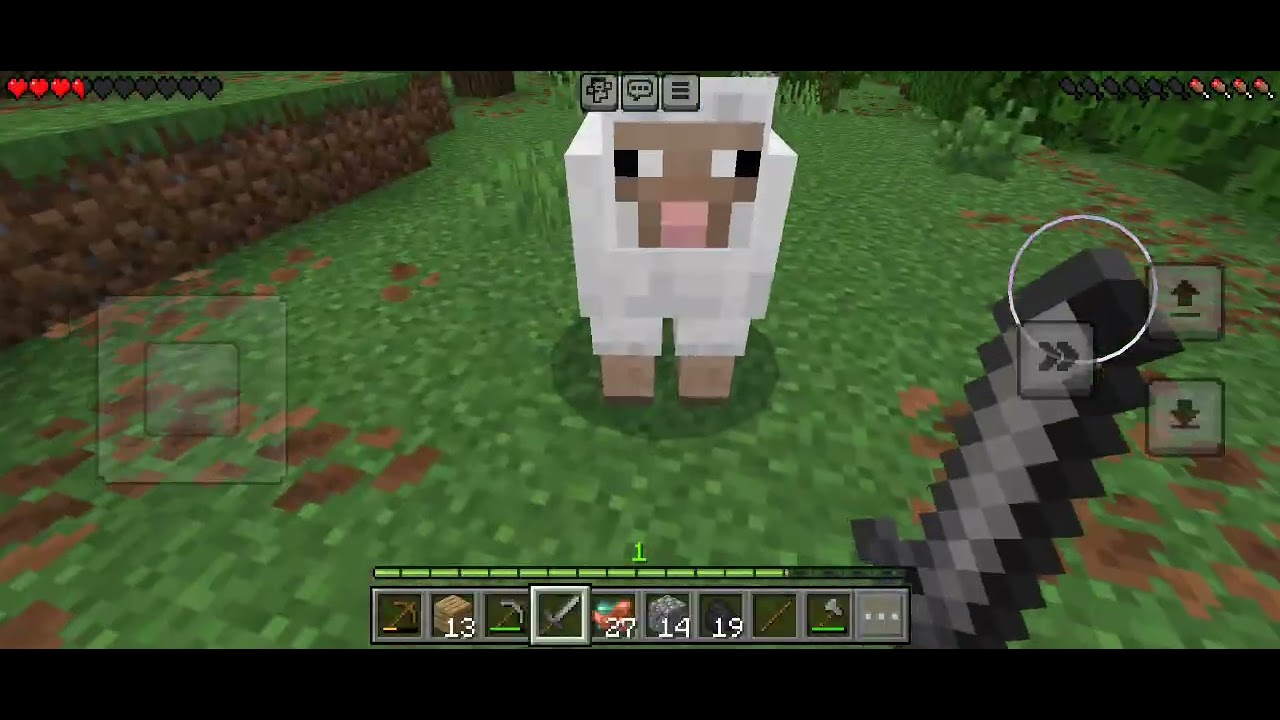 Igram minecraft po prvi put na kanalu👳