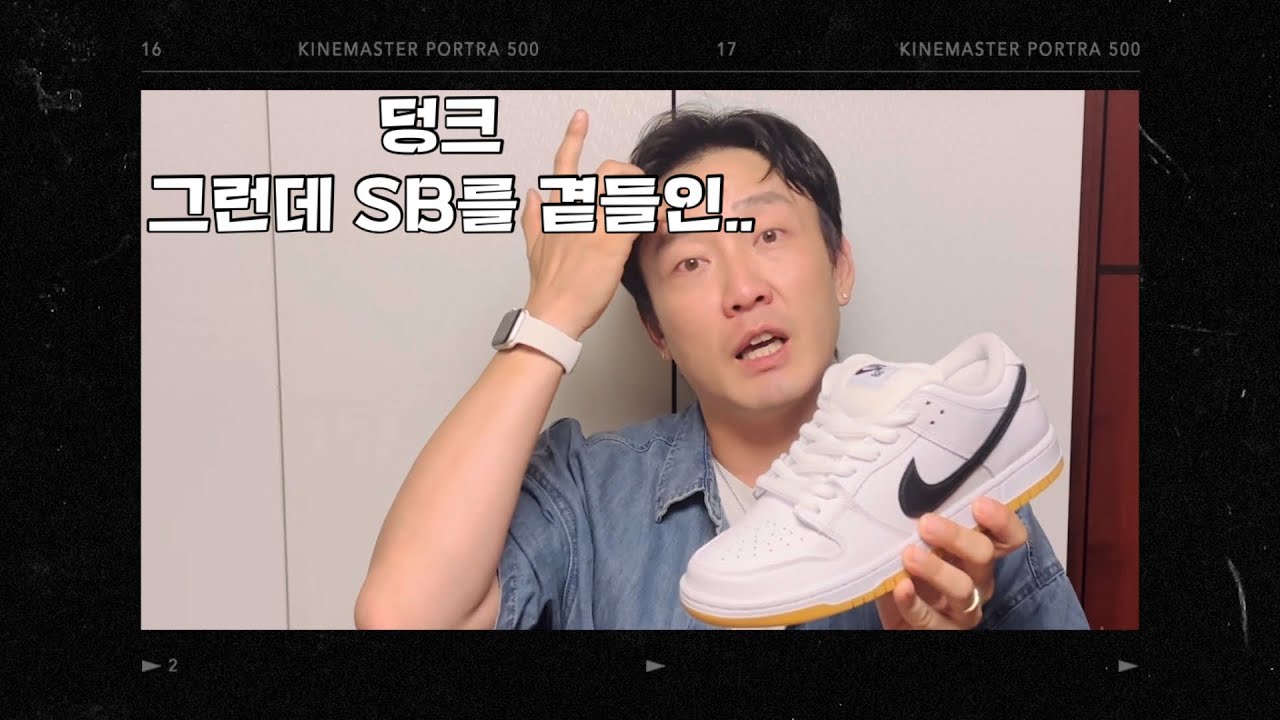 곁들일게 이거밖에 없어서 | 나이키 SB 덩크