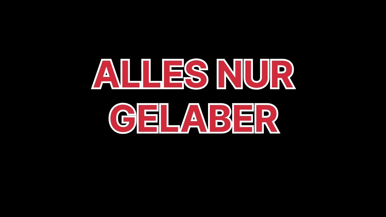 SystemfehlerMensch  - Alles nur Gelaber 