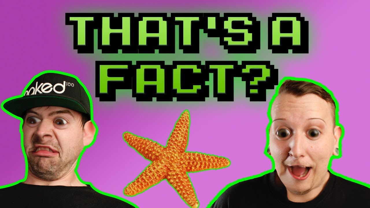 Weird & Crazy Facts!!