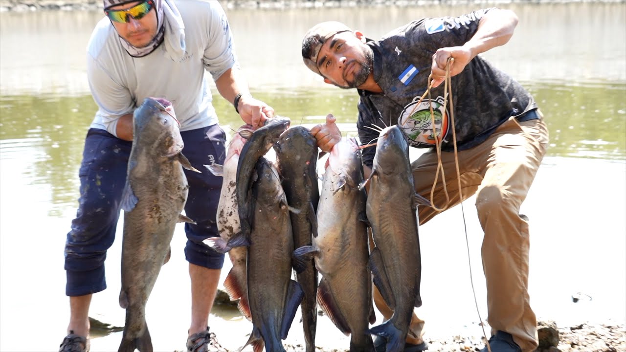 Épica Pesca De Bagres Gigantes ,Pesca  Y Cocina De Bagres 