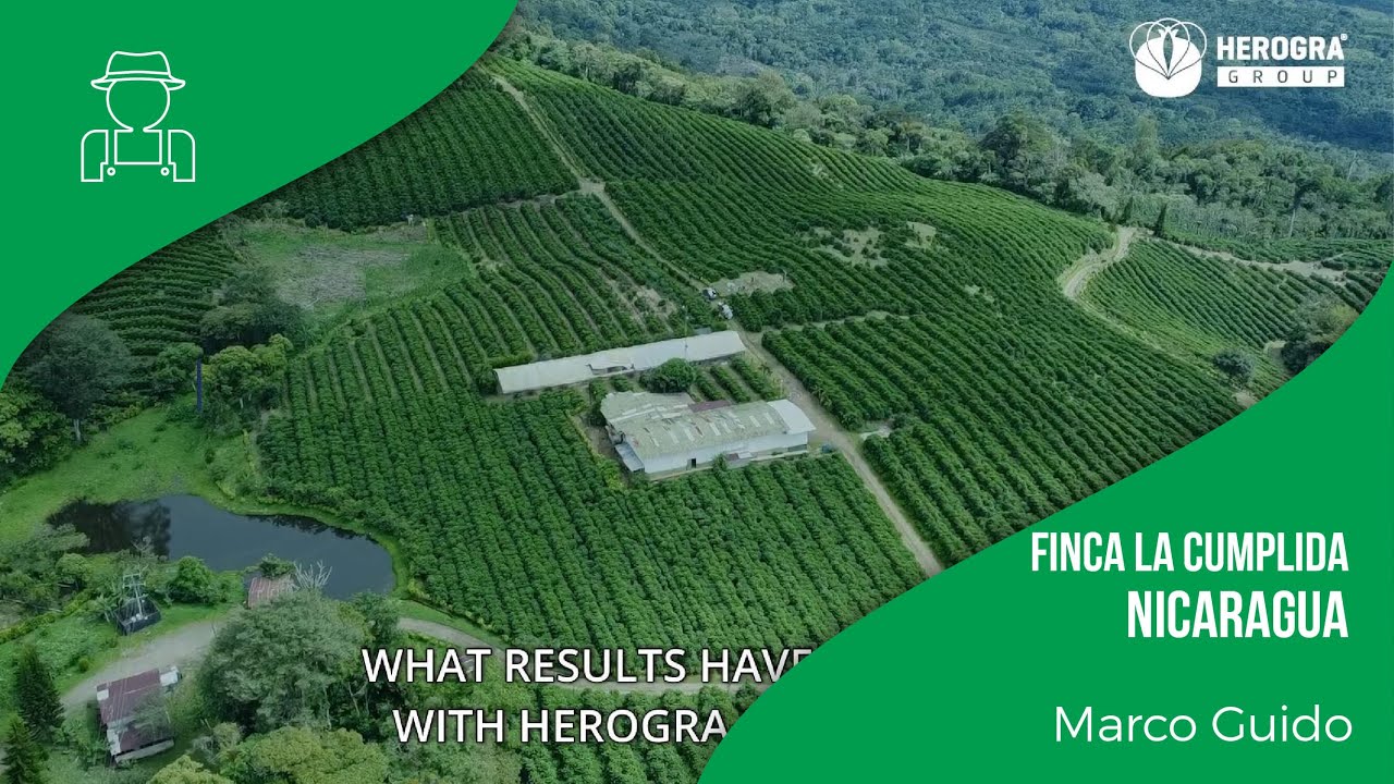 Field experiences: Finca La Cumplida, Nicaragua
