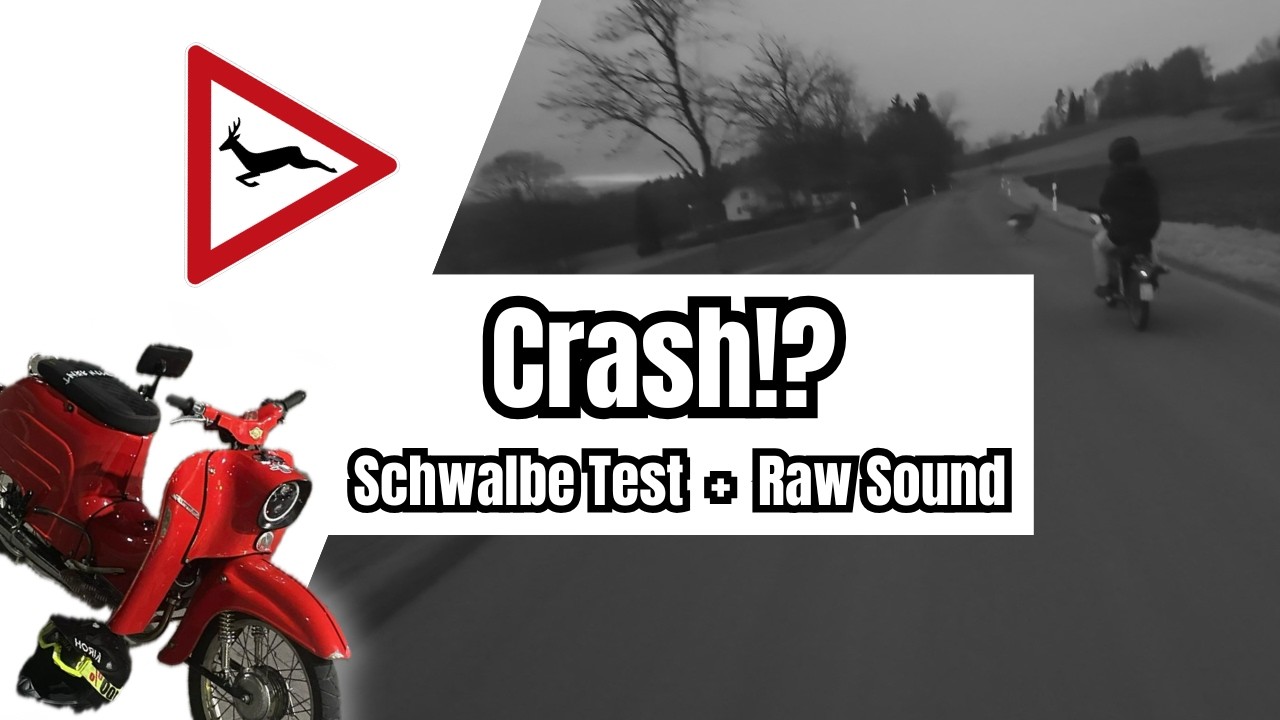 Nie wieder! | 3 Gang Schwalbe Test | Wildunfall!? | Raw Sound Ausfahrt