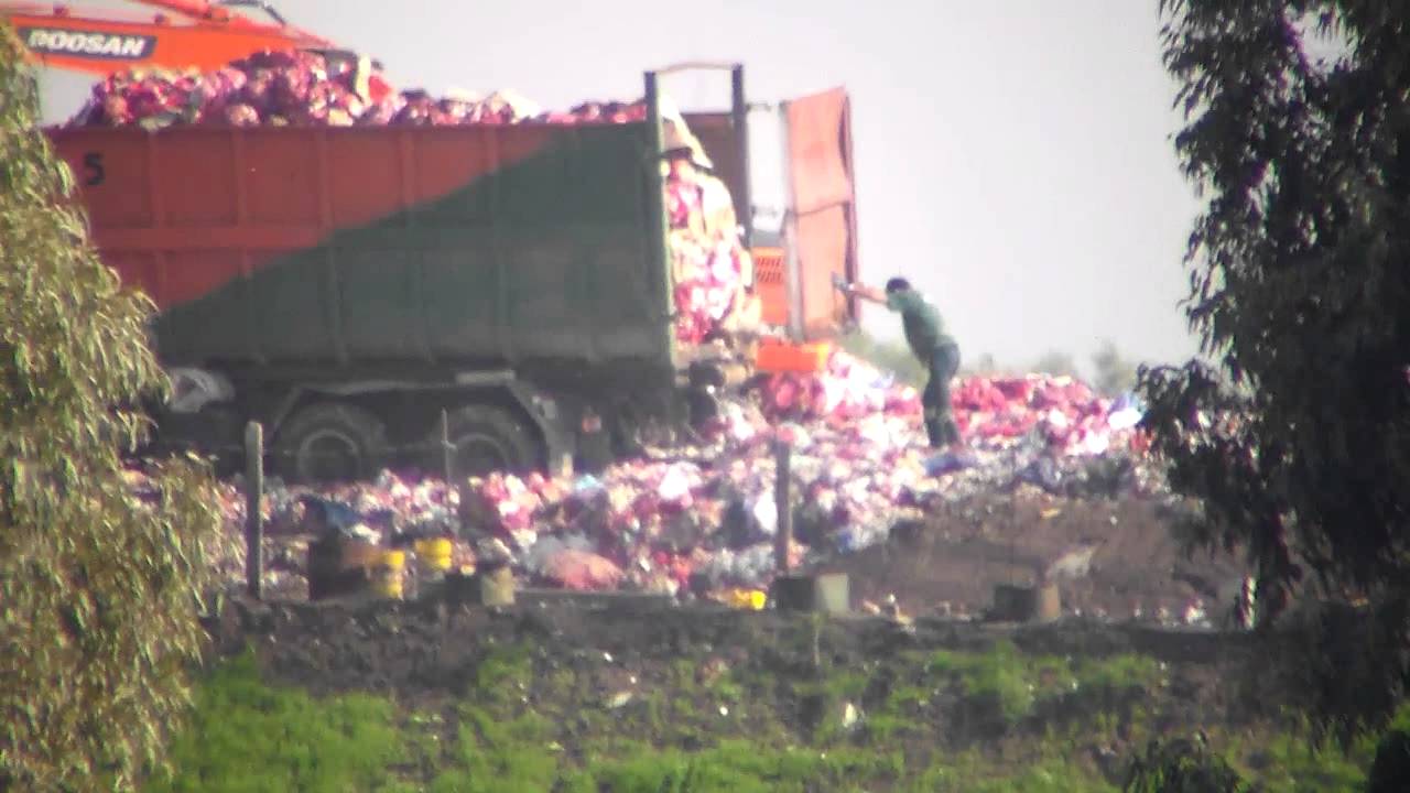 RESIDUOS PELIGROSOS EN BASURAL ILEGAL EN ARCILLEX S.A.