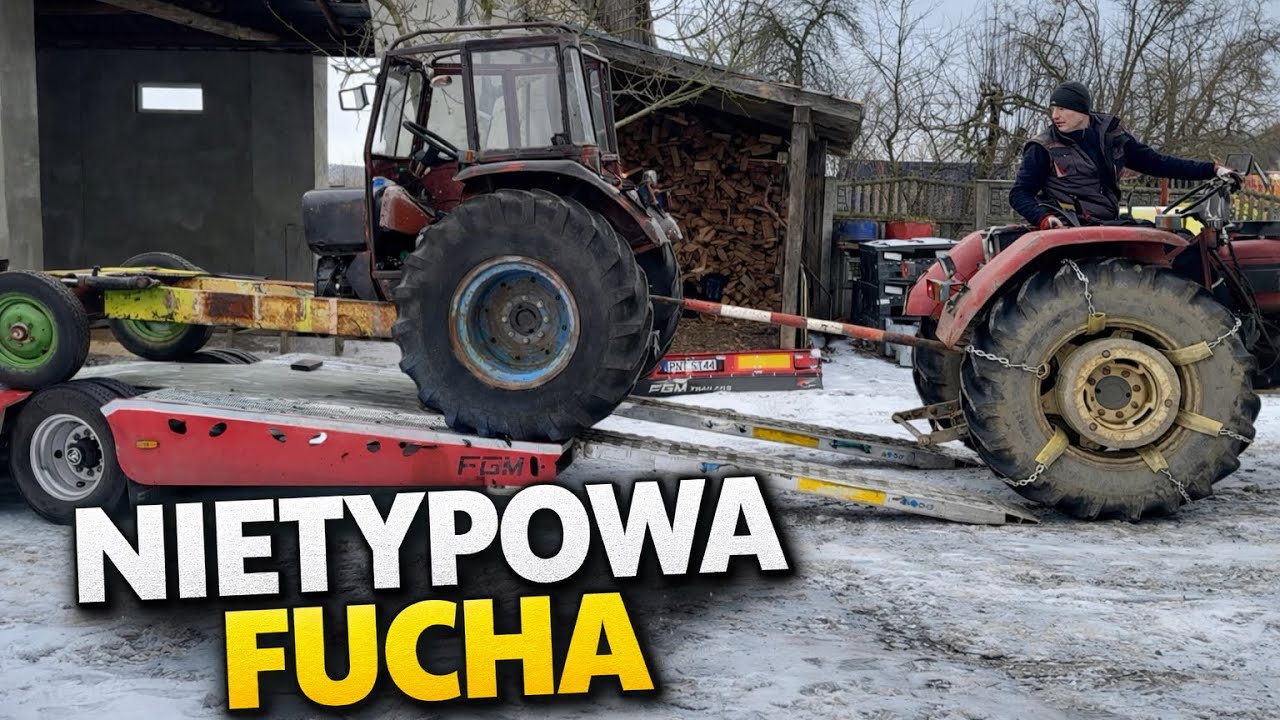 Nietypowa Fucha czyli URSUS C-4011 V8 / Jelenie na rozkładzie 😂 Rolnik Łukasz 