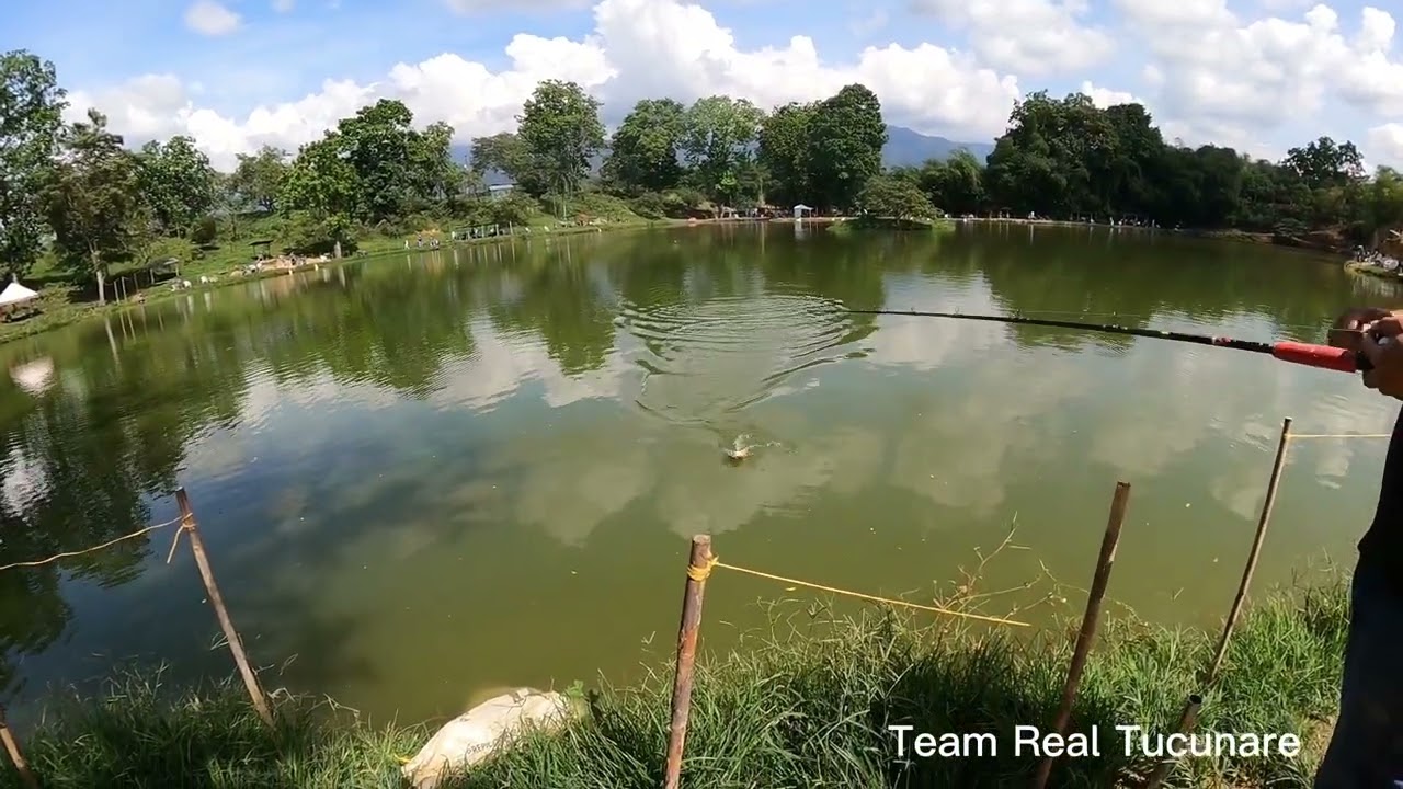 PESCA DE CACHAMA EN EL LAGO EL HATO/ PIEDECUESTA- SANTANDER- COLOMBIA