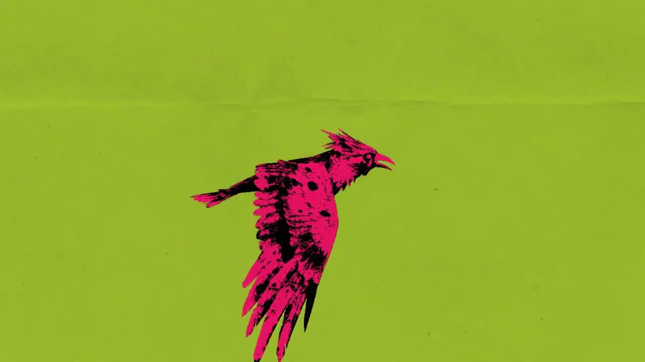 Mouseeki Machine, Usman Sheikh - Birds (feat. Shahzeen Khan)