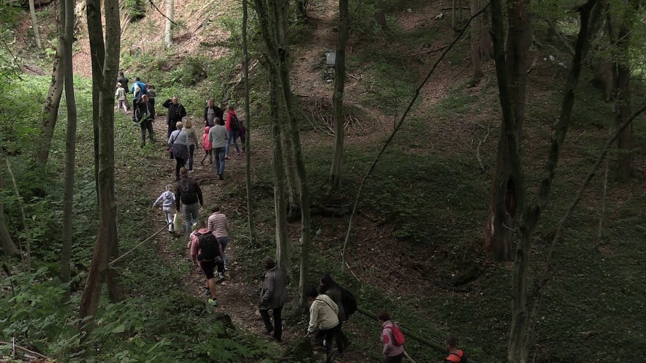 Odprta prenovljena gozdna in geološka učna pot Pekel