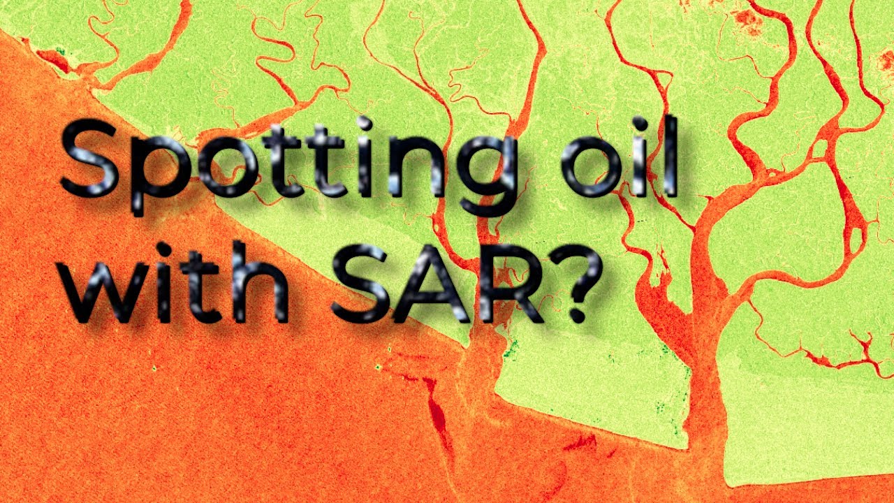 SAR data, QGIS and Google Earth Engine | burdGIS