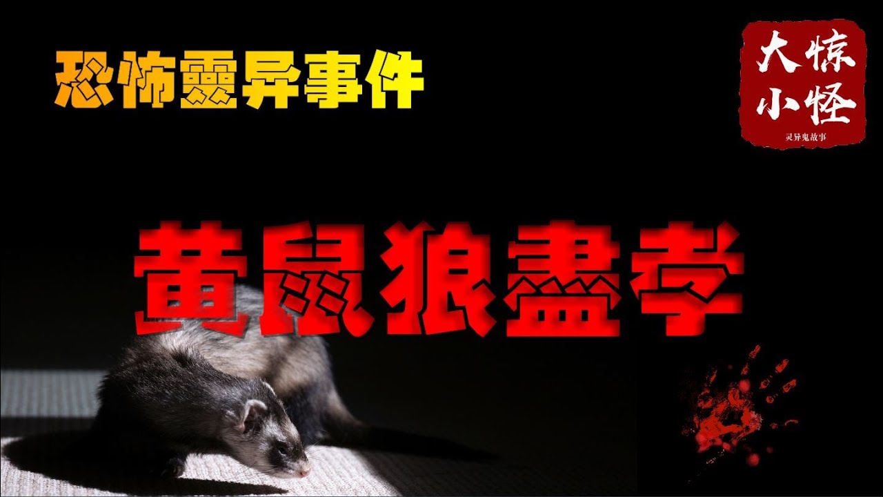 靈異鬼故事: 殺人的證據，鬼怪傳聞,，靈異事件，真實鬼故事，靈異事件【大驚小怪】