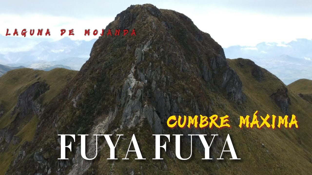 FUYA FUYA CUMBRE MÁXIMA