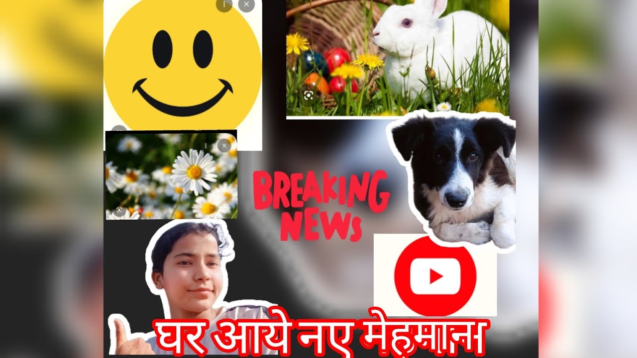 घर आये नए मेहमान.. Pooja takuli. Vlog 2 .. Enjoy😁 like💬 and comment💬