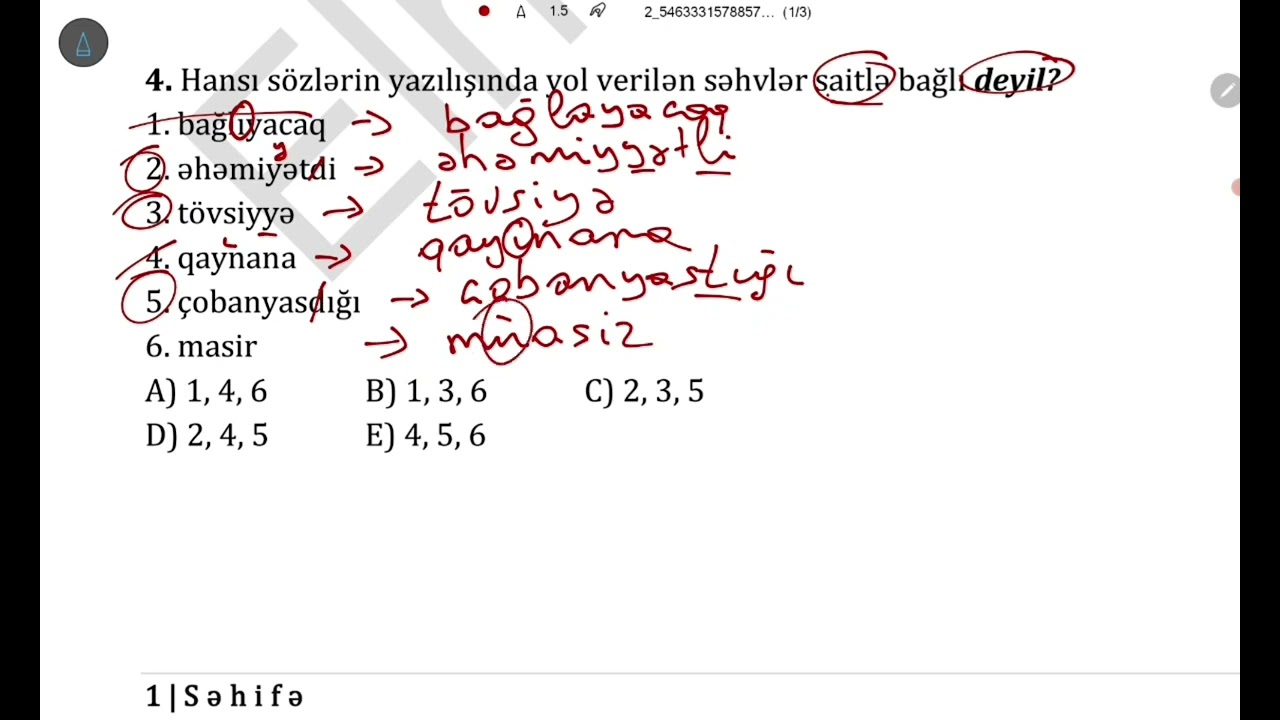 İbtidai Azərbaycan dili MİQ 2023 imtahanı nümunəsi suallar / 2 -Elnur Camallı.
