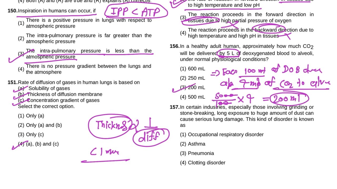 Toppers Batch (NEET) | RTS 03 Zoology Paper Discussion | 45 Questions #aiats #neet2026 #neet #bio 