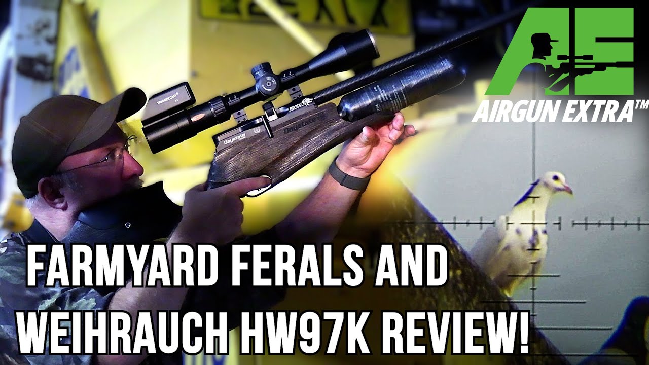 Airgun Extra | Охота на диких голубей на ферме | Обзор Weihrauch HW97K