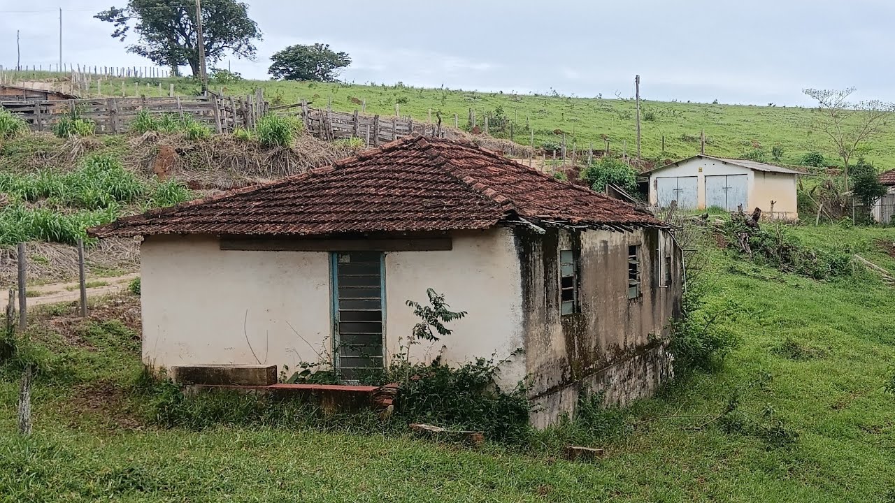 Idoso Sobe Leva Uma Fisgada Cai de Cima, e Quem Paga é a Neta, A Avó Viu Tudo e Não Pode Evitar