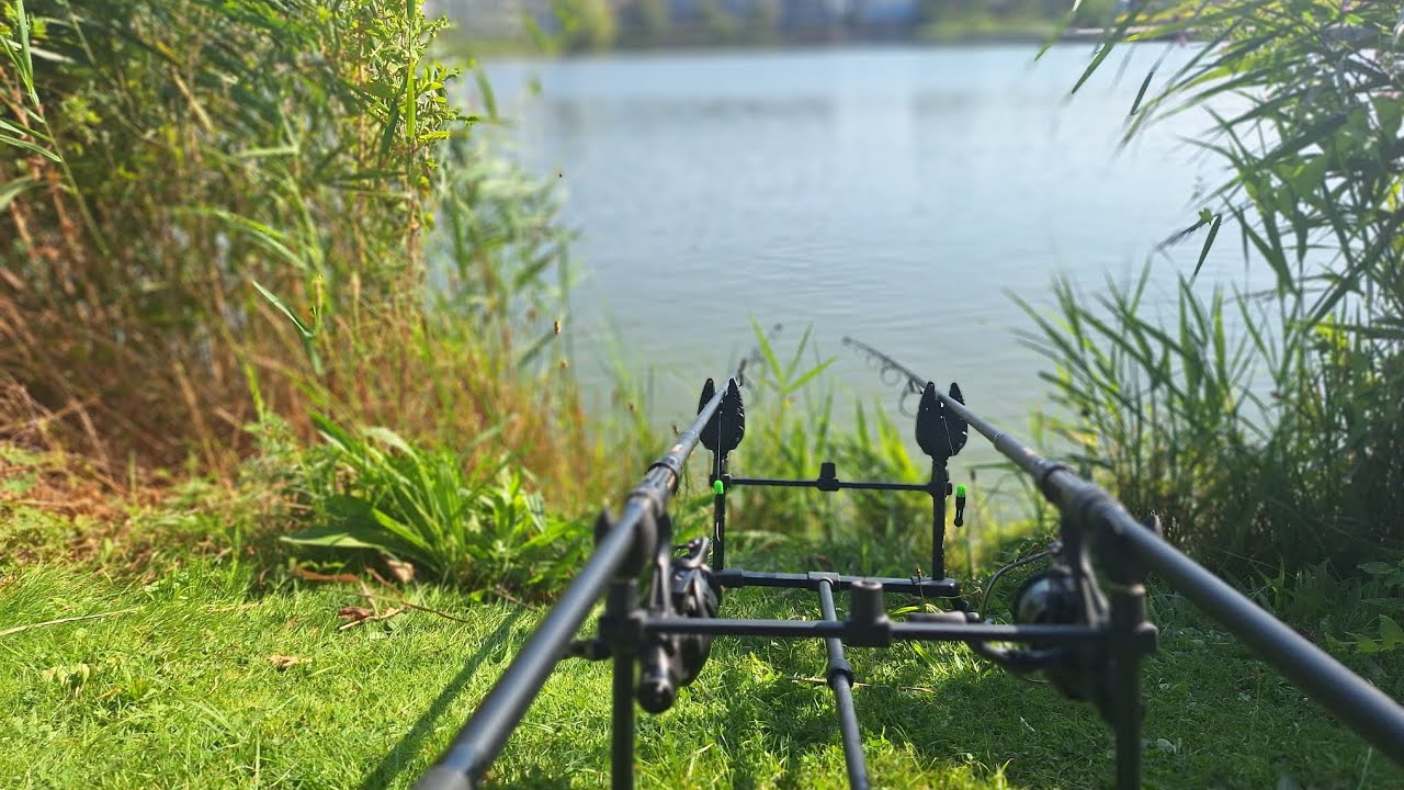 vissen in de schoten + nachtje