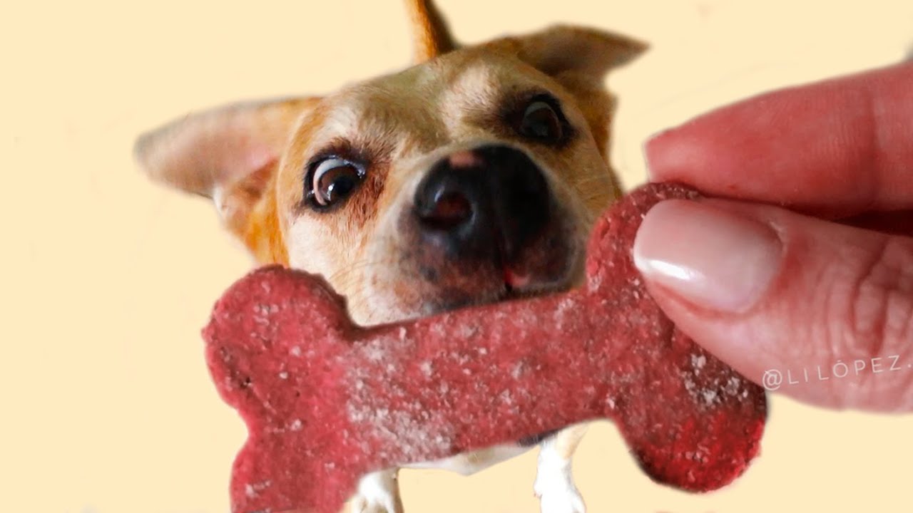 Biscoito Caseiro Para Cachorro