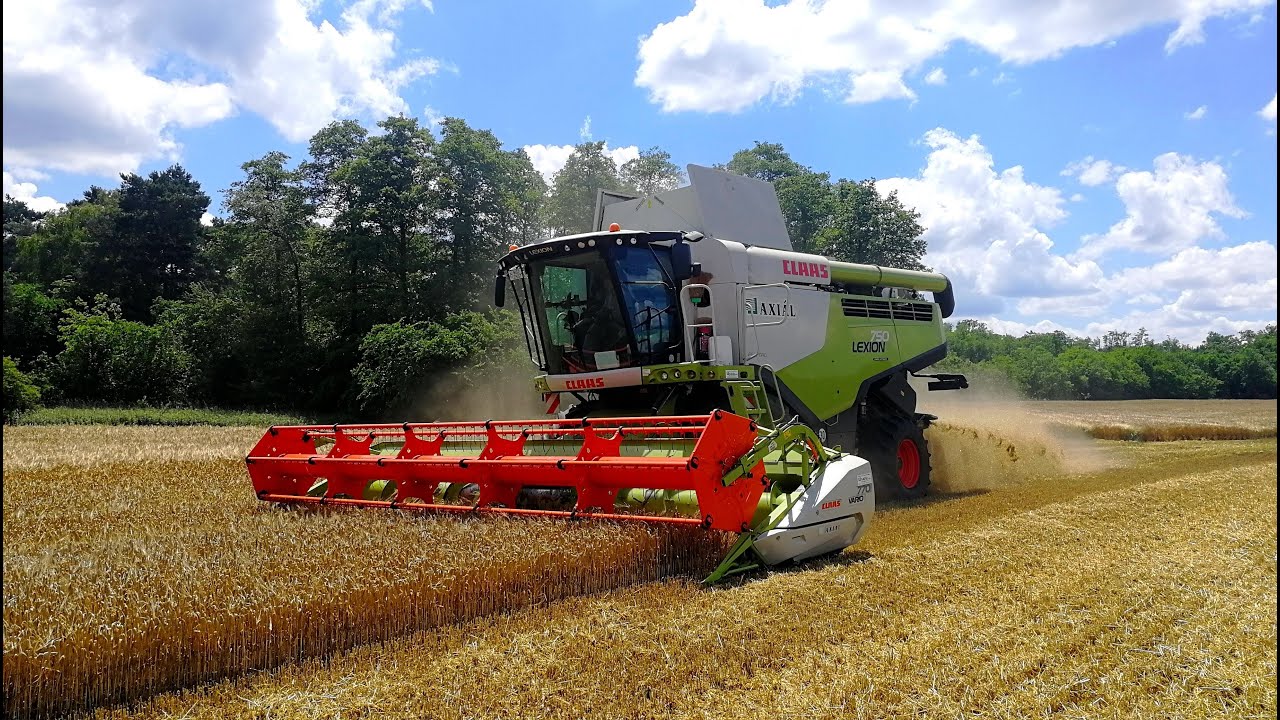 K.T.K. Kft. Nyári aratás 2020. 4x Claas lexion