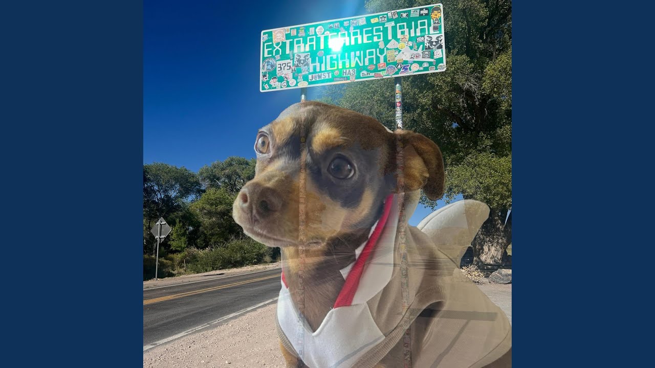 mocha's song