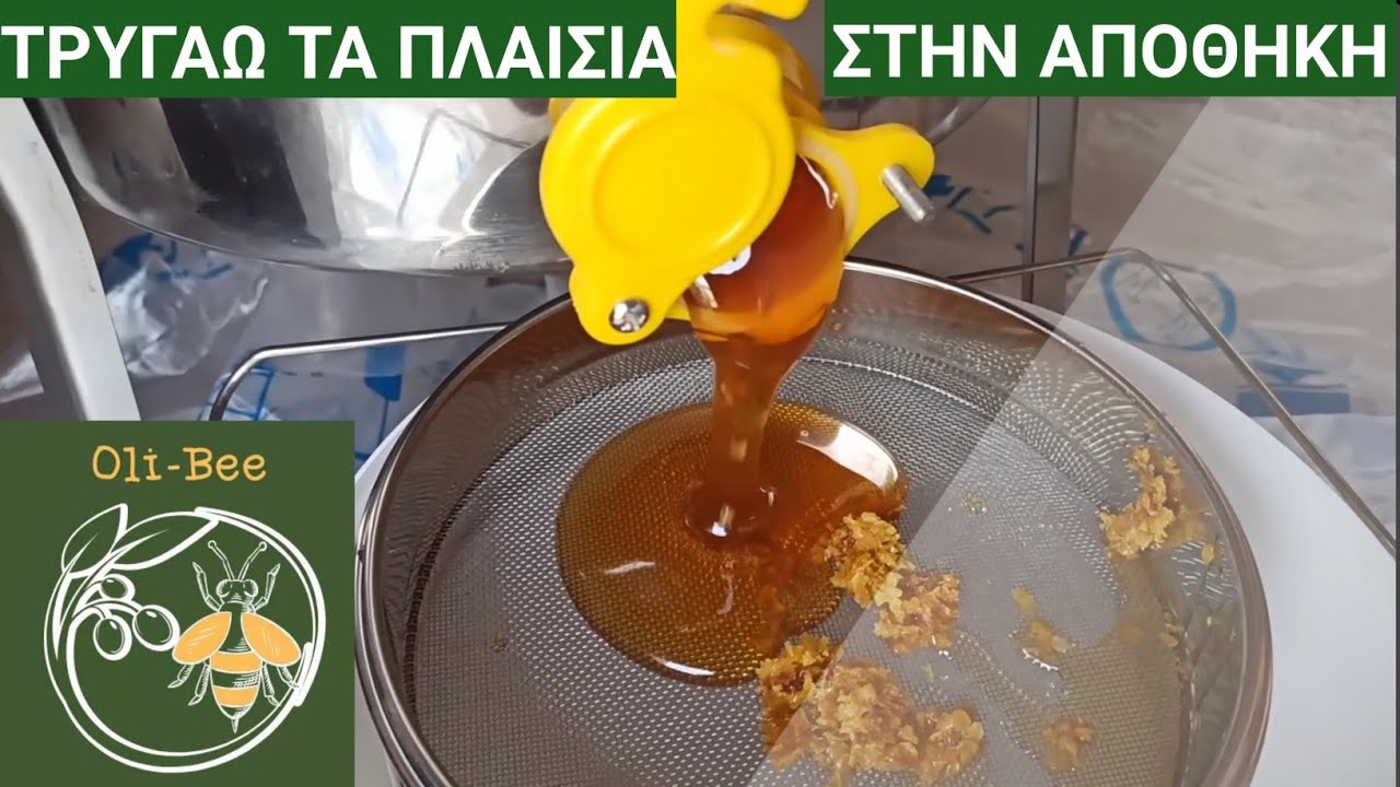 Πρώτος μου τρύγος.Θυμάρι 2021!Μερος Β. Στην αποθήκη.