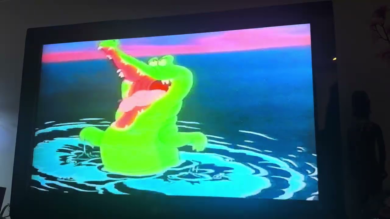 Opening to The New Adventures of Winnie the Pooh: Birds of a Feather 1990 Singaporean VHS