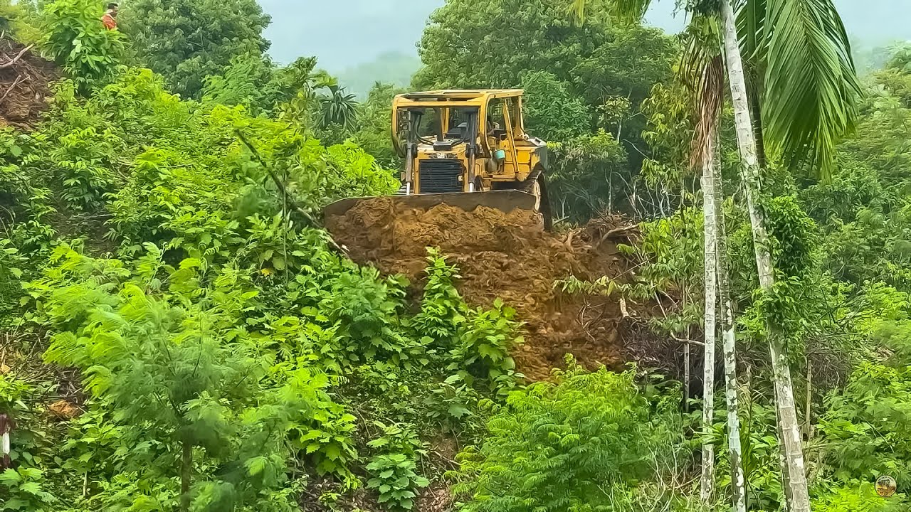 Amazing Technical Achievements of the D6R XL Bulldozer Building a Palm Tree Terrace on the Mountain