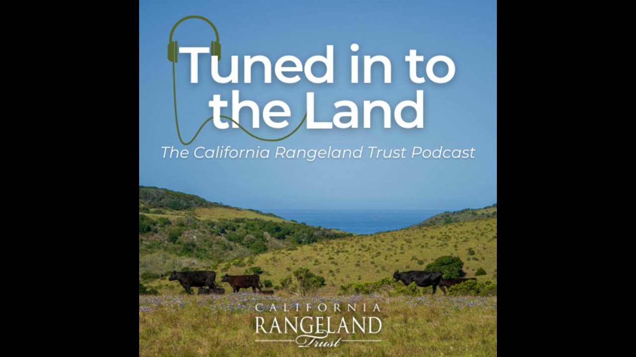 Episode 4.3: The Greenhouse Gas Guru