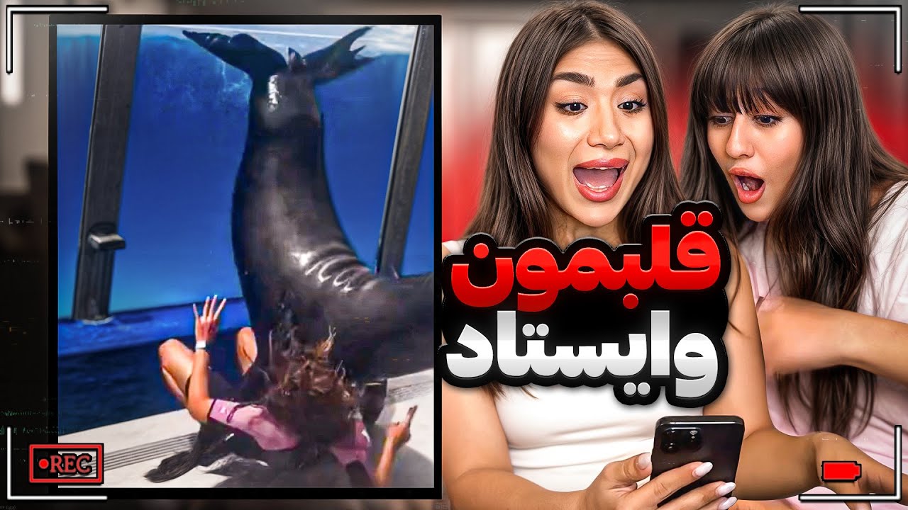 	دیدن این ویدیوها شوک‌آوره 😳تا آخرش ببین!😢