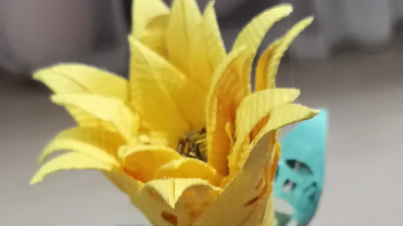 溪钱花
