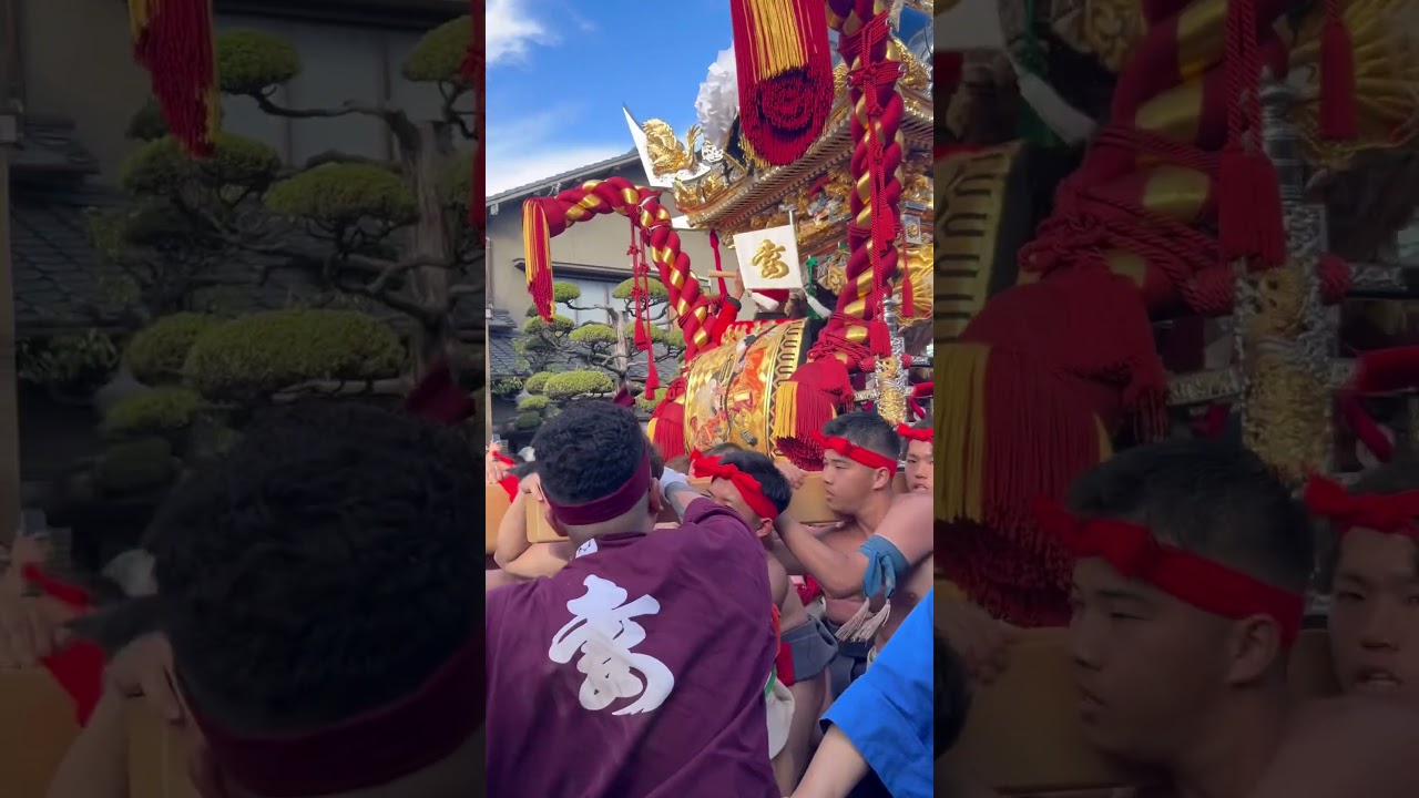 【灘のけんか祭り2025】10月15日本宮_妻鹿③