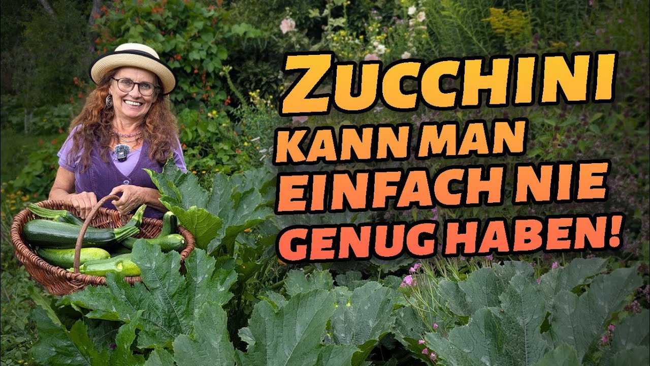 Die große Zucchini-Schwemme: Elisabeets schnellstes Zucchini- Gericht für jeden Tag