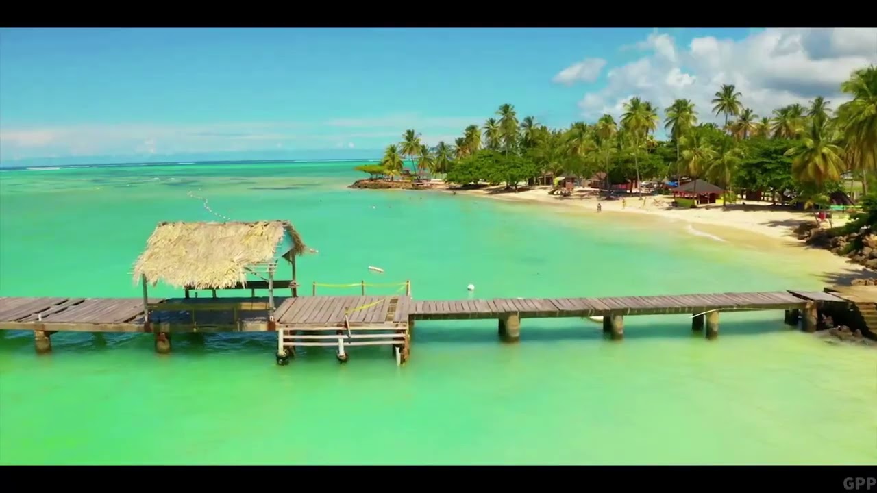 PEP'SBROWN - 2049 ( clip officiel)