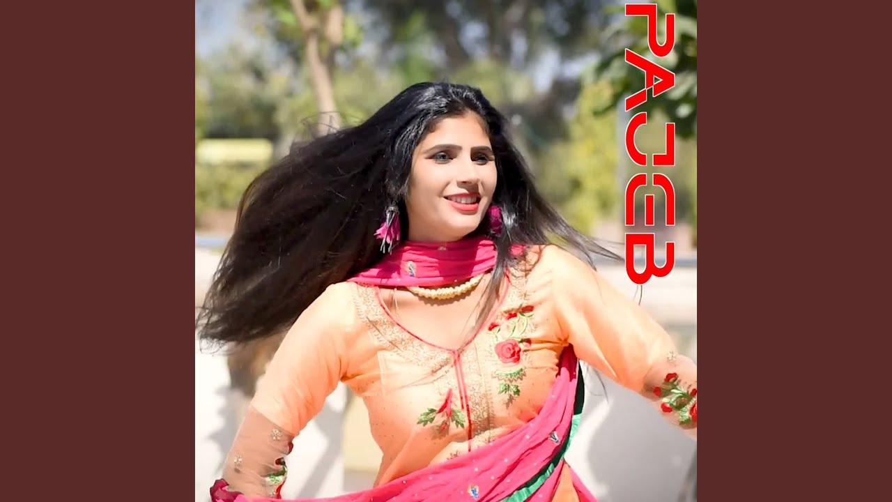 Pajeb
