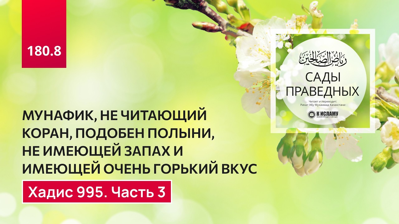 180.8 Сады праведных. Мунафик, читающий коран, подобен дикому базилику. Хадис 995. Часть 3