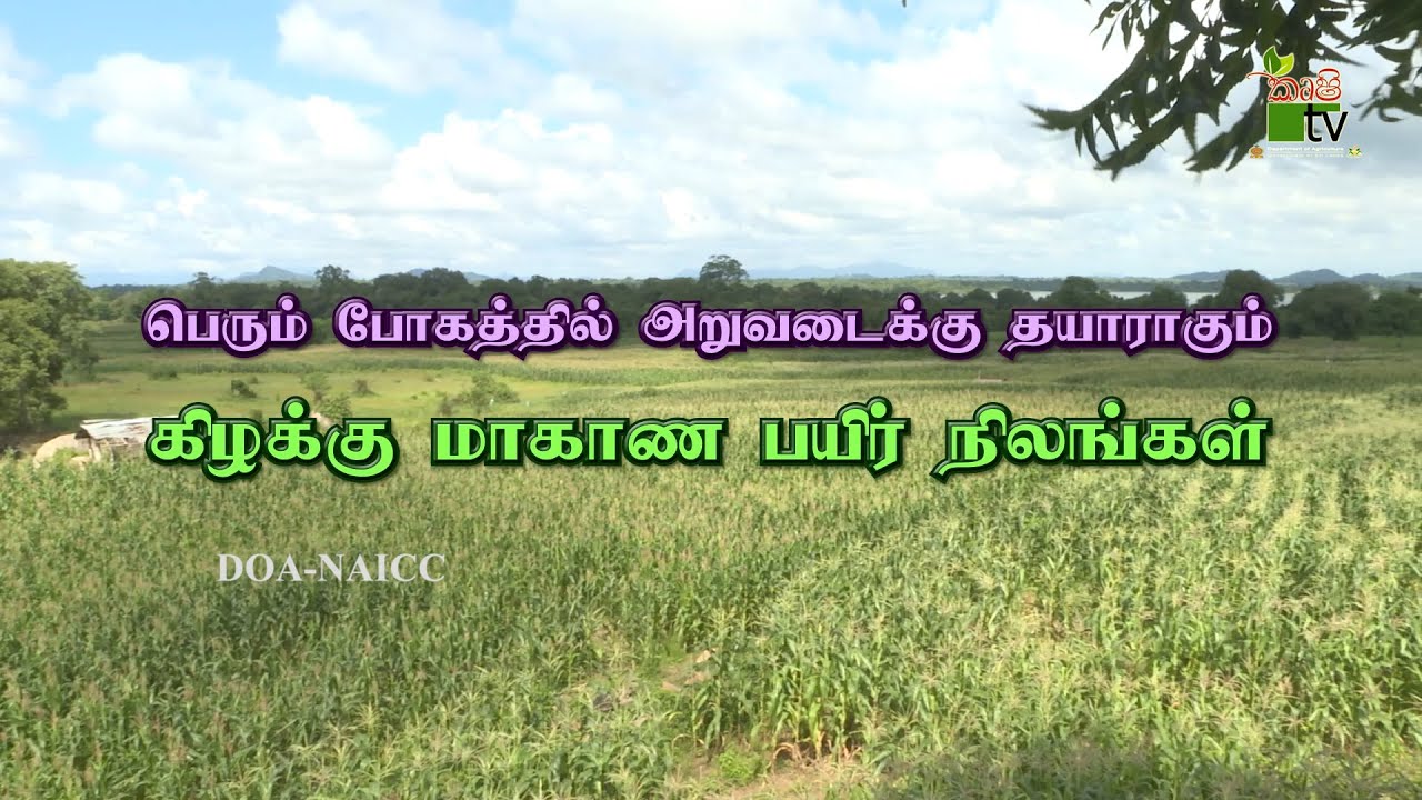 உயிரும் உழவும் | 2026-01-24 | Krushi TV