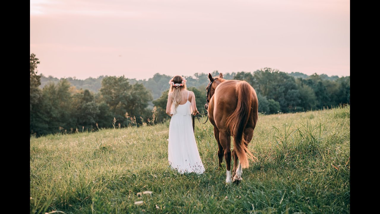 What's a Soulmate? || Motivational Horse Video