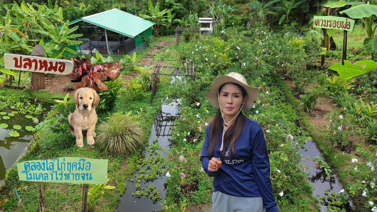ทำเกษตรยังไง👨‍🌾แค่พื้นที่ 1ไร่ก็หายจน!!
