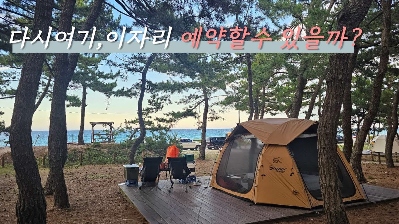 강릉연곡해변솔향기캠핑장-강원도 오션뷰조망 바다캠핑장🏖🏕(예약이 치열한 캠핑장!)Korea Gangneung Yeongoksol Fragrance Campground/camping