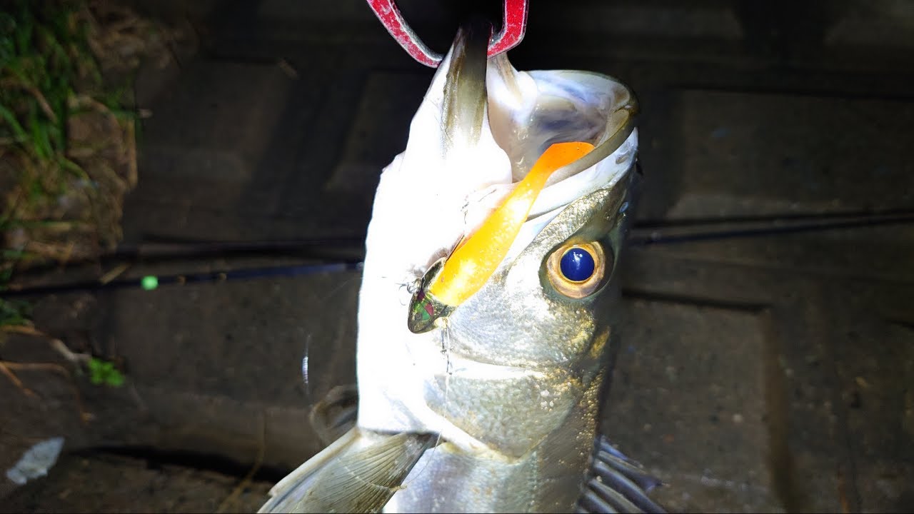 Christmas Eve Nag Fishing Ako | Pinoy Lure Angler in Japan 🇵🇭🇯🇵