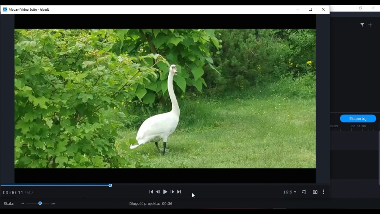 #Movavi #Video #Editor: Tworzenie i wykorzystanie migawki.