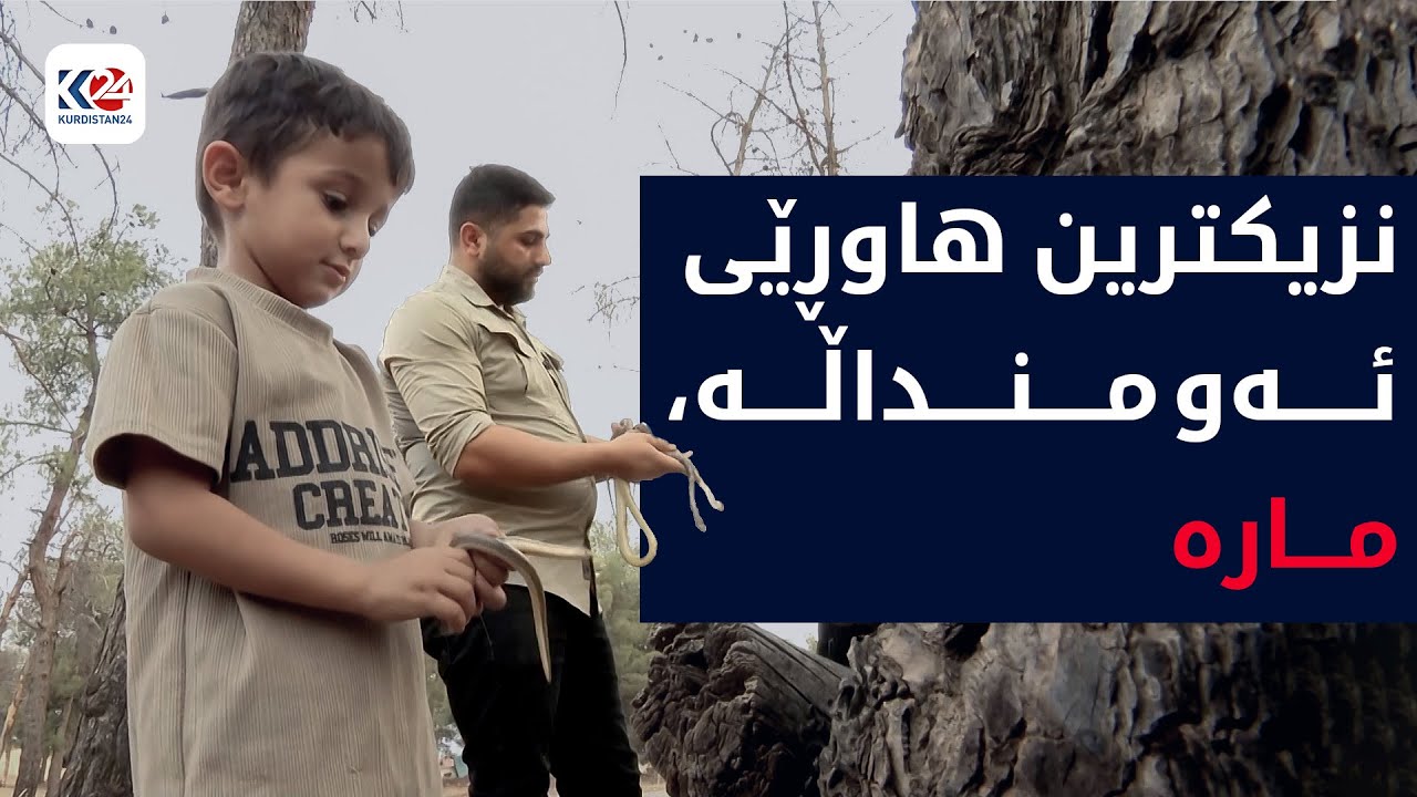 لە دووکان هاووڵاتییەک لە کاژی مار زەیت درووست دەکات