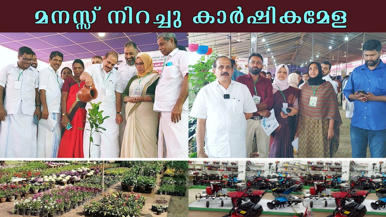 മനസ്സ് നിറച്ച് കൊണ്ടോട്ടി കാർഷിക മേള വിത്തുകൾ തൈകൾ കാർഷിക യന്ത്രങ്ങൾ എല്ലാം #kondotty #krishi