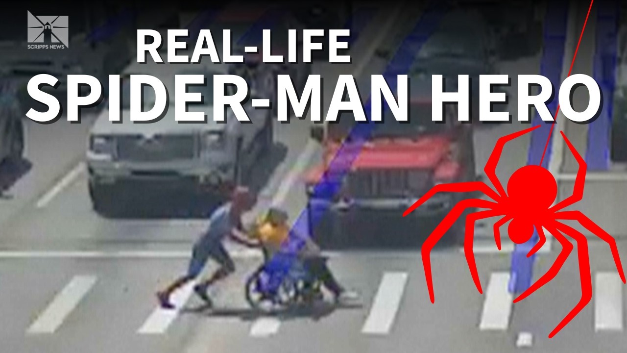 Real-life HERO Spider-Man helps person in wheelchair cross the road