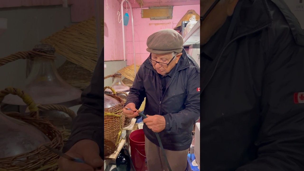Homemade Wine: How to rack a demijohn with Nonno Pasquale