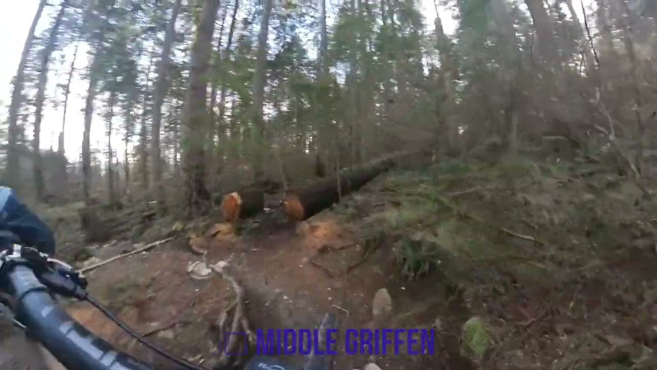 April 3rd, 2024 | Fromme - Bobsled & Griffen