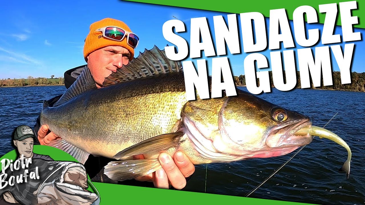 Jak złowić SANDACZA z głębokiej wody? Wędkarstwo spinningowe na jeziorze - VLOG