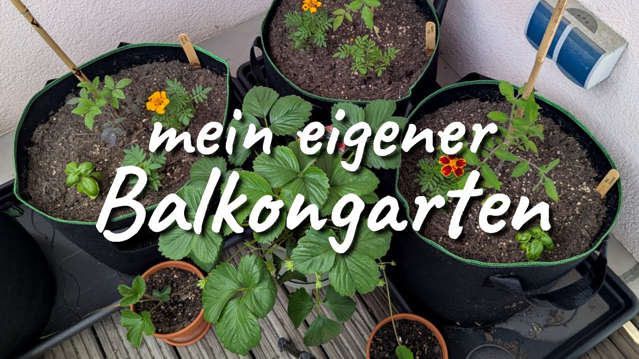 Neue Balkonmöbel aufbauen,  Tomaten umtopfen & endlich draußen sitzen | Vlog 2025-05